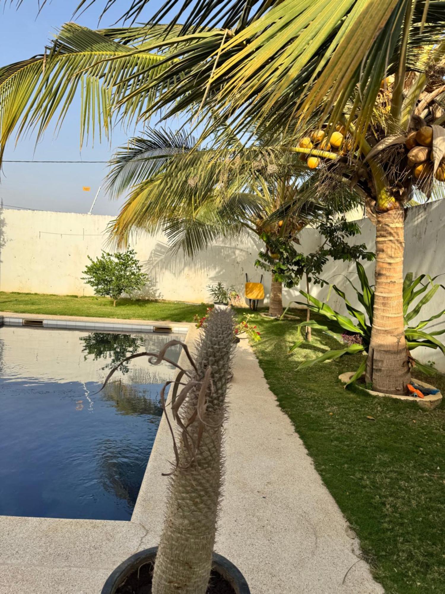 La Baraka, Extravagant Villa For 8 With Pool In Saly Gandigal Kültér fotó
